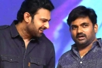 Prabhas and Maruthi film budget, Maruthi, new title for prabhas and maruthi film, Nidhhi agerwal