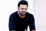 Prabhas Project K, Prabhas news, prabhas to return back to work, C ashwini dutt Prabhas Project K, Prabhas news, prabhas to return back to work, C ashwini dutt