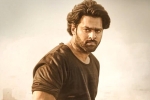 Maruthi, Prabhas and Maruthi updates, prabhas to romance three heroines, Pakka commercial