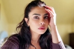 Don't Look For Virgin Wife comment, Priyanka Chopra Don't Look For Virgin Wife, priyanka chopra breaks silence on don t look for virgin wife comment, Priyanka chopra