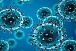R.1 Coronavirus breaking updates, Coronavirus, r 1 variant of coronavirus traced in 35 countries, Coronavirus usa R.1 Coronavirus breaking updates, Coronavirus, r 1 variant of coronavirus traced in 35 countries, Coronavirus usa