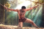 RRR budget, Ram Charan, rrr 22 days collections, Shriya