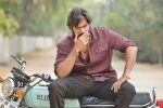 RX 100 new, RX 100 collections, rx 100 first week collections, Paayal rajput