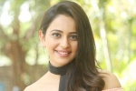 Rakul Preet new movies, Rakul Preet new movies, rakul preet roped in for kamal s indian 2, Siddarth