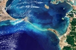 Ram Setu pictures Europe, Ram Setu pictures latest breaking, ram setu s pictures from the space, Birds