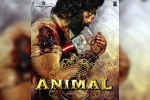 Ranbir Kapoor Animal date, Ranbir Kapoor Animal latest updates, ranbir kapoor s animal updates, Tamannah bhatia