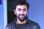 Ranbir Kapoor updates, Ranbir Kapoor updates, ranbir kapoor s cameo in srk s next, Ae dil hai mushkil