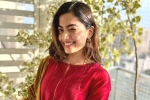Rashmika Mandanna pan Indian films, Rashmika Mandanna news, rashmika mandanna bags one more biggie, Gautam tinnanuri