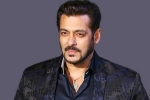 salman khan birthday, salman khan brothers, audience s love respect matter more than stardom salman khan, Ameesha patel