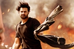 Shraddha Kapoor, Saaho updates, saaho ten days telugu states collections, Neil nitin mukesh