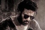 Salaar 2 breaking, Prashanth Neel, new update from salaar 2, Prashanth neel