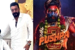 Sanjay Dutt, Sanjay Dutt, sanjay dutt s surprise in pushpa the rule, Naveen