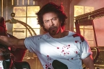 Shah Rukh Khan updates, Shah Rukh Khan next projects, shah rukh khan to play a don in king, Srk