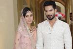 Shahid Kapoor latest news, Shahid Kapoor new, shahid kapoor s baby not named yet, Mira rajput