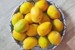 Soak Mangoes, Soak Mangoes before eating, soak mangoes for 30 minutes before eating, Gen z
