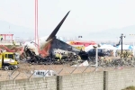 South Korea Plane Crash cause, South Korea Plane Crash, pilot made mayday call and mentioned bird strike in south korea plane crash, Runway