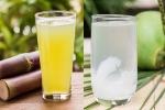 Sugarcane Juice Vs Coconut Water experts, Sugarcane Juice Vs Coconut Water hydration, sugarcane juice vs coconut water which is hydrating, Sugar Sugarcane Juice Vs Coconut Water experts, Sugarcane Juice Vs Coconut Water hydration, sugarcane juice vs coconut water which is hydrating, Sugar