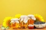 Sunflower Oil doctors, Sunflower Oil medication, long term effects of consuming sunflower oil on heart health, Hypertension