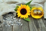 Sunflower seeds health benefits, Sunflower seeds breaking, sunflower seeds and their nutritional benefits, Healthy breakfast