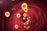 Cholesterol tips, Cholesterol latest, tips to lower cholesterol when statins don t work, Cholesterol