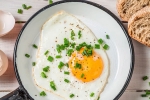 cholesterol, health benefits, top 5 benefits of eggs that ll make you to eat them every day, World egg day