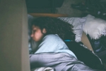 night owl, sleep, are you a night owl this one trick can help advance sleep time by 2 hours, Sleeping tips