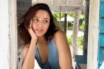 Triptii Dimri breaking news, Triptii Dimri remuneration, triptii dimri is eager to sign hollywood films, Karthi