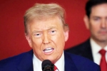 Steve Hanke about Donald Trump, Donald Trump Tariff War with India, top us economist on trump s tariff war with india, Isha