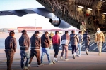 USA Illegal Immigrants updates, USA Illegal Immigrants, usa arrests over 500 illegal immigrants, Preview