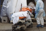 USA Coronavirus breaking updates, USA Coronavirus breaking updates, usa coronavirus deaths reaches 9 lakhs, Usa coronavirus