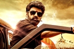 Gopichand Malineni, Veera Simha Reddy numbers, veera simha reddy sankranthi weekend collections, Varalaxmi sarathkumar