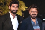 Venky and Rana movies, Venky and Rana web series, venky and rana daggubati s first web series in making, Viraata parvam