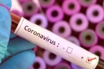 Vaccine for coronavirus, COVID-19 lockdown, who warns covid 19 may never go away then what s the future of the world, Us federal reserve