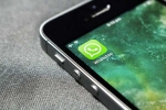 WhatsApp latest update, WhatsApp latest update, whatsapp rolls out new calling effects animations and stickers, Animation