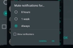 chats, Whatsapp, whatsapp to bring always mute option for chats on android, Doodle