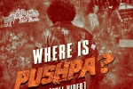 Pushpa: The Rule updates, Pushpa: The Rule news, where is pushpa second installment is lavish, Bullet wounds