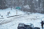 Winter Getaways India tips, Winter Getaways India tips, unmissable getaways to visit in winter in india, Birds