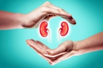 World Kidney Day 2025 care, World Kidney Day 2025 health, world kidney day 2025 theme and health tips, Obesity
