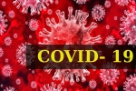 World Health Organization, World Health Organization, who renames the deadly coronavirus as covid 19, Snakes World Health Organization, World Health Organization, who renames the deadly coronavirus as covid 19, Snakes