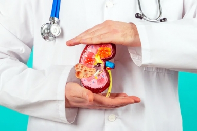 Top Fruits that are Good for Kidney Health