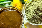 Henna new updates, Henna benefits, how henna helps for hair growth and health, Hairfall
