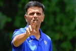 Rahul Dravid breaking news, Rahul Dravid, rahul dravid to lead team india as head coach, Sourav ganguly