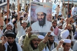 Bin Laden death updates, Bin Laden death video, bin laden continues to mobilize jihadists ten years after his death, Al qaeda