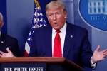 US, immigration, president trump to temporarily suspend immigration to us, American citizen