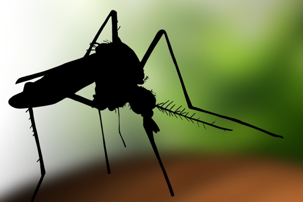 Maryland Health Department Confirms State's First West Nile Virus Case this Year