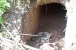 India, BSF, bsf found 20 meter tunnel from pakistan in sambha j k, Sambha India, BSF, bsf found 20 meter tunnel from pakistan in sambha j k, Sambha