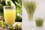 Amla Juice, Wheatgrass Juice, amla juice vs wheatgrass juice for fatty liver, Cholesterol levels Amla Juice, Wheatgrass Juice, amla juice vs wheatgrass juice for fatty liver, Cholesterol levels