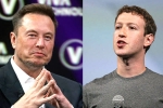 Mark Zuckerberg, Elon Musk and Mark Zuckerberg breaking, elon vs zuckerberg mma fight ahead, Medal