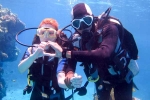 Scuba Diver new tips, Scuba Diver, essential tips every first time scuba diver should follow, Animal