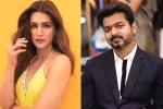 Kriti Sanon new movies, Kriti Sanon new movies, kriti sanon to romance vijay in his next, Kadi Kriti Sanon new movies, Kriti Sanon new movies, kriti sanon to romance vijay in his next, Kadi